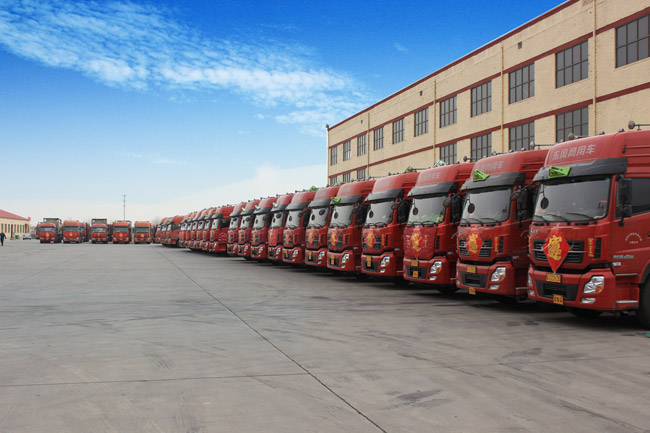 車隊展示 車隊展示